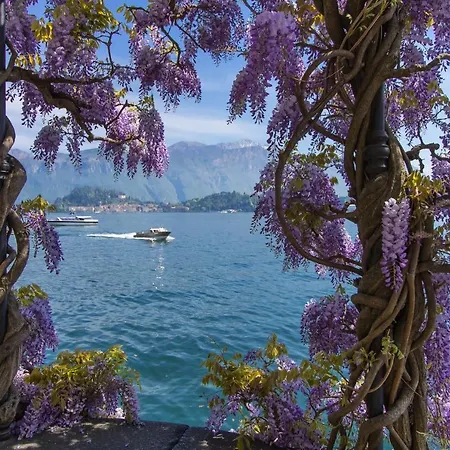 Regina Vista Lago * Laglio